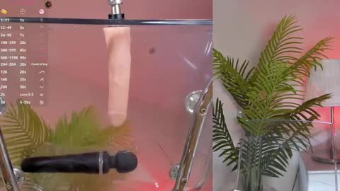 Shynie online show from March 2025 03:27:01 PM