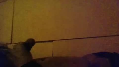 Snapshot of lovebignip chatting on February 2026 05:14:01 AM lovebignip online show from February 2026 05:14:01 AM