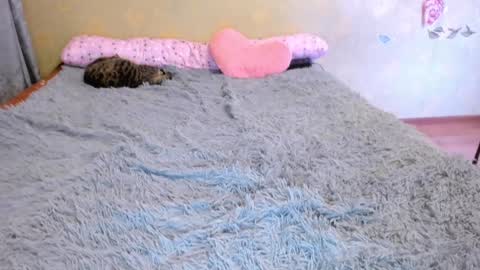 cat-girl online show from January 2025 05:22:02 PM