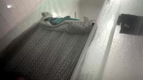 Snapshot of lovefeetonmyface29 chatting on September 2025 09:55:01 AM lovefeetonmyface29 online show from September 2025 09:55:01 AM