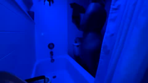 Thalii online show from November 2025 02:32:01 AM