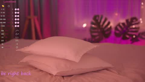 Nelly online show from January 2025 06:35:01 PM