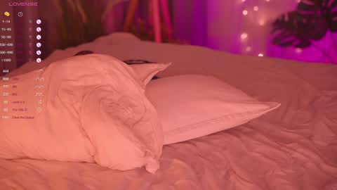 Nelly online show from February 2025 04:36:01 PM