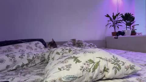 Snapshot of lovelorn_ chatting on November 2025 06:34:02 AM Elsa online show from November 2025 06:34:02 AM