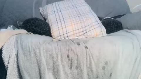 Snapshot of lovestobeused2 chatting on February 2026 02:19:02 AM lovetobeused online show from February 2026 02:19:02 AM