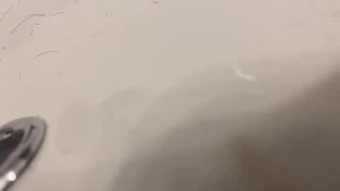 Snapshot of lovetoplayinmnwithu chatting on January 2025 11:34:02 PM lovetoplayinmnwithu online show from January 2025 11:34:02 PM