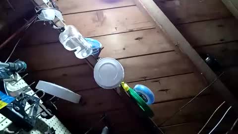 Snapshot of lowtidehightide chatting on November 2025 04:51:02 PM lowtidehightide online show from November 2025 04:51:02 PM