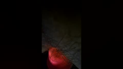 lateralus online show from July 2026 05:17:02 PM