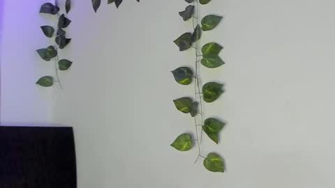 Jenn online show from February 2026 01:44:02 AM