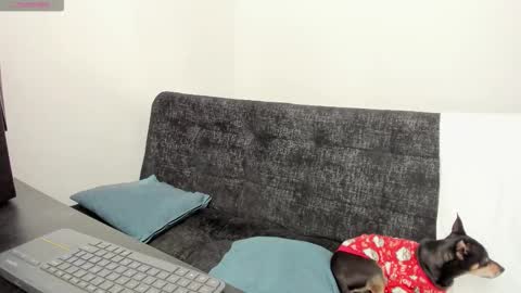 luci online show from December 2025 07:11:02 PM