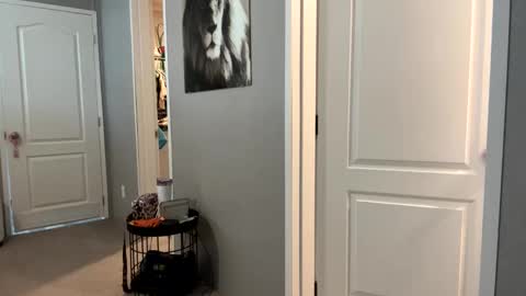 lucious_stace online show from September 2025 03:47:01 PM