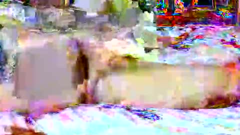 lucky134u online show from April 2026 02:31:01 PM