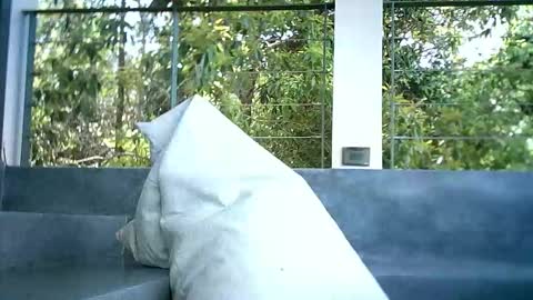 Snapshot of luckyluckylukas chatting on November 2025 04:44:02 AM LuckyLukas online show from November 2025 04:44:02 AM