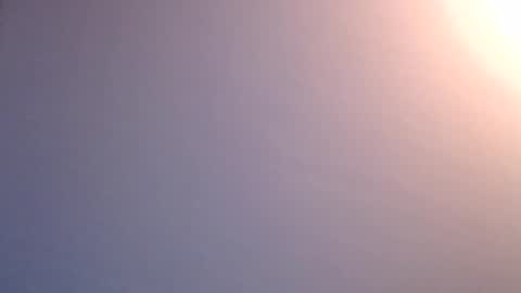 Snapshot of luckystrike6981 chatting on April 2026 06:55:01 PM luckystrike6981 online show from April 2026 06:55:01 PM