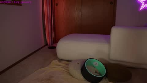 Snapshot of lucy_gooosey chatting on February 2025 04:57:01 AM Lucy. online show from February 2025 04:57:01 AM