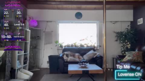 Luubeam             INSTA luubeammm TWITTER lunaisreallycu1 online show from February 2025 07:42:01 PM