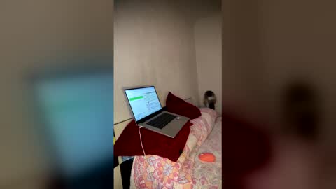 Snapshot of luisamonsterdick chatting on February 2026 11:57:02 PM Luisa Monsters online show from February 2026 11:57:02 PM