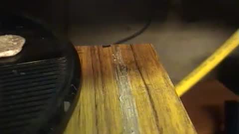 Snapshot of lukestarfckr chatting on September 2025 07:19:02 PM lukestarfckr online show from September 2025 07:19:02 PM