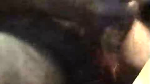 Snapshot of lukestarfckr chatting on November 2025 05:34:01 AM lukestarfckr online show from November 2025 05:34:01 AM