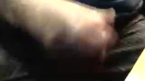 Snapshot of lukestarfckr chatting on November 2025 07:57:01 PM lukestarfckr online show from November 2025 07:57:01 PM