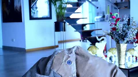 Lukhas f4f online show from February 2025 03:41:02 PM