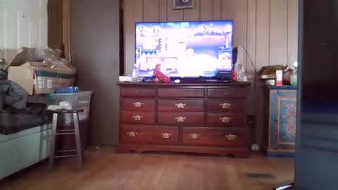 Snapshot of lulupixxx chatting on January 2025 04:11:02 PM Connie online show from January 2025 04:11:02 PM