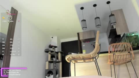   online show from December 2024 12:19:01 AM