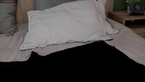 luna online show from November 2025 01:22:02 PM