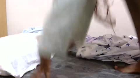 lunargoddess45 online show from March 2026 03:12:01 AM