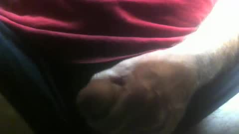 Snapshot of lunatica12 chatting on February 2026 04:27:02 AM lunatica12 online show from February 2026 04:27:02 AM