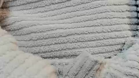 lustgardener67 online show from December 2024 04:48:01 PM