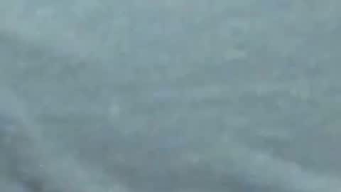 lustgardener67 online show from January 2025 10:06:01 AM