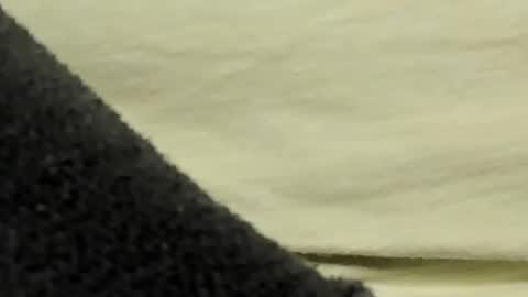 lustgardener67 online show from January 2025 07:35:01 PM