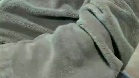 lustgardener67 online show from October 2025 07:11:02 PM