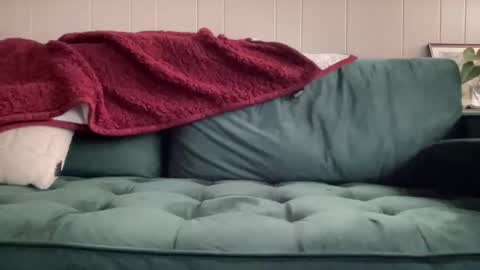 Snapshot of luvelyallie chatting on February 2025 03:52:01 PM luvelyallie online show from February 2025 03:52:01 PM