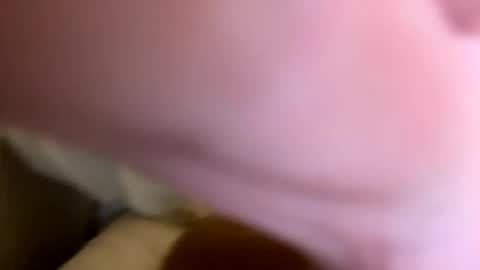 Snapshot of luvtobenude21 chatting on December 2024 11:47:01 PM Joe and Sarah online show from December 2024 11:47:01 PM