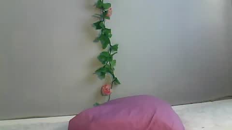 Snapshot of luvu4everxxx chatting on October 2025 02:34:01 AM Bee Bee online show from October 2025 02:34:01 AM