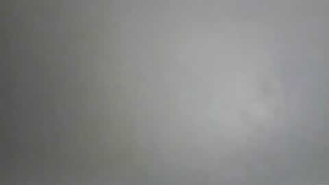 Bee Bee online show from February 2026 04:11:02 PM