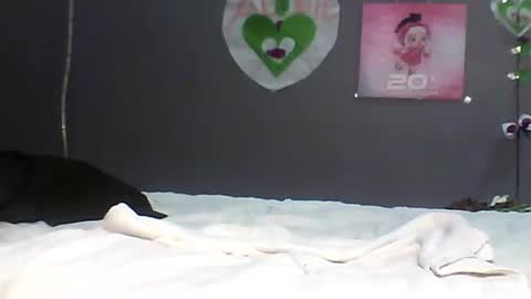 Bee Bee online show from February 2026 05:33:01 PM