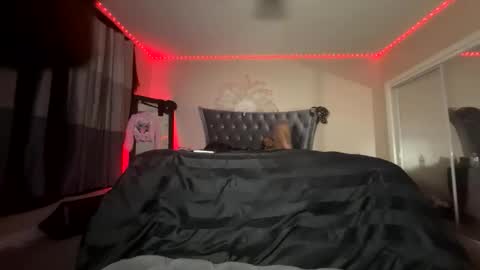 luvvlee online show from March 2026 01:31:01 AM