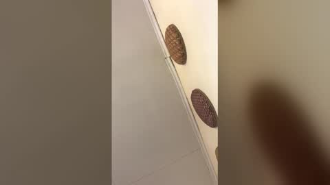 luxvietes online show from January 2026 11:48:02 AM