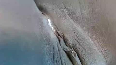 lyiajee online show from September 2025 02:53:01 PM