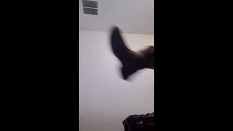 Snapshot of m2tonerfux chatting on April 2026 05:21:01 AM m2tonerfux online show from April 2026 05:21:01 AM