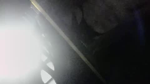 Snapshot of m444rk chatting on April 2026 03:48:01 AM SLoppYxXPeeHoLeXxGspotxX online show from April 2026 03:48:01 AM