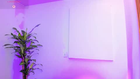 macarenasmith1 online show from December 2025 11:48:02 AM