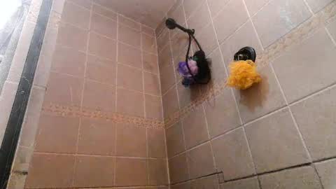 Mace Shwanger online show from July 2026 07:57:01 PM