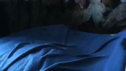 Snapshot of macho9385 chatting on September 2025 07:33:02 AM macho9385 online show from September 2025 07:33:02 AM