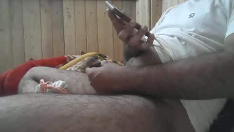 maddycooldil online show from December 2024 07:34:01 PM