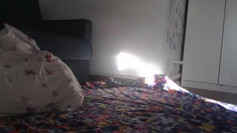 Julia online show from March 2026 02:01:02 AM