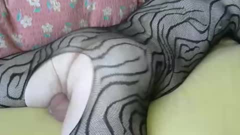 maestro2017 online show from April 2026 06:47:02 AM